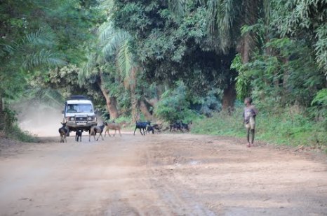 Fizi's version of a highway. Wait until the rainy season and see